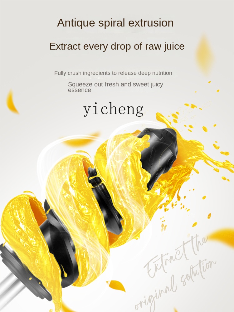 เครื่องคั้นน้ำผลไม้ความเร็วต่ำ - Juicer บทวิจารณ์และราคา