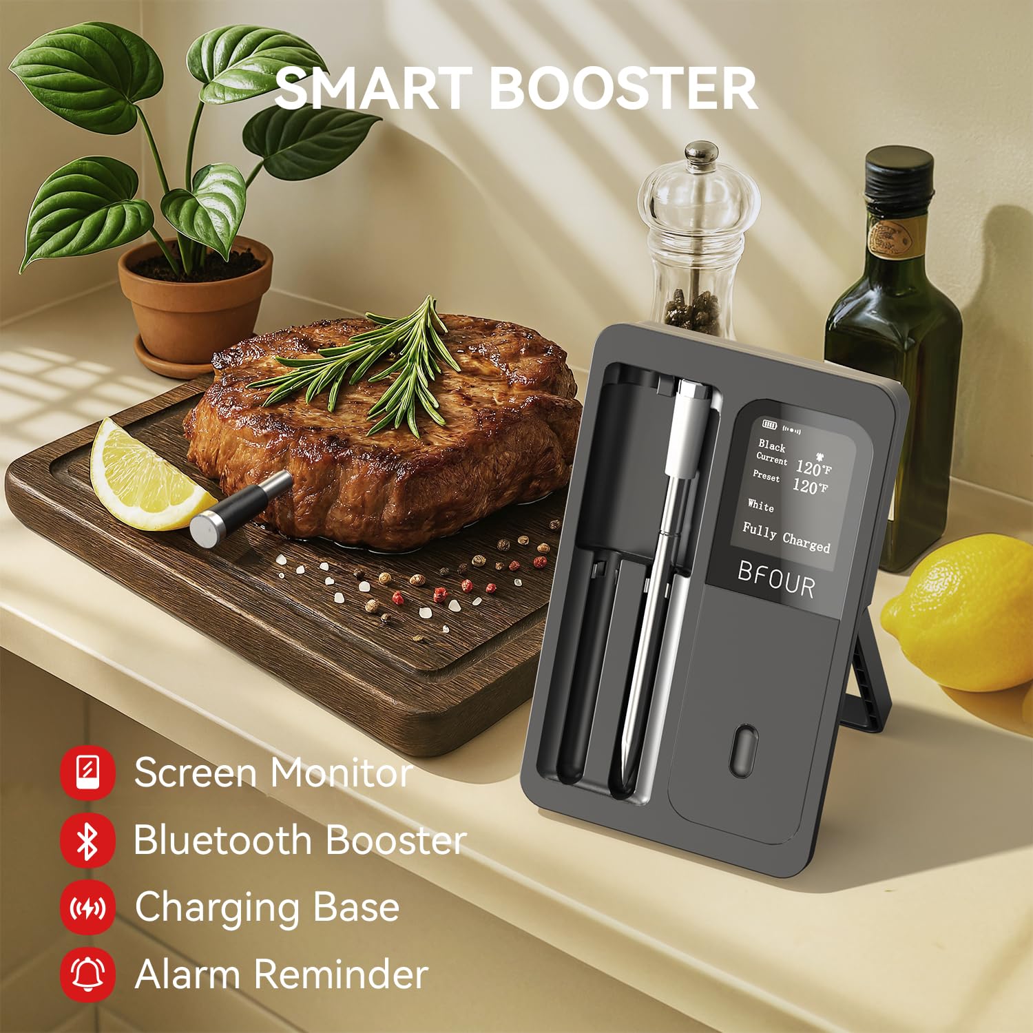 เครื่องวัดอุณหภูมิเนื้อไร้สาย  - Kitchen Appliances Video บทวิจารณ์และราคา